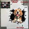 Protective shipping package containing the Beagle decal with included application instructions.