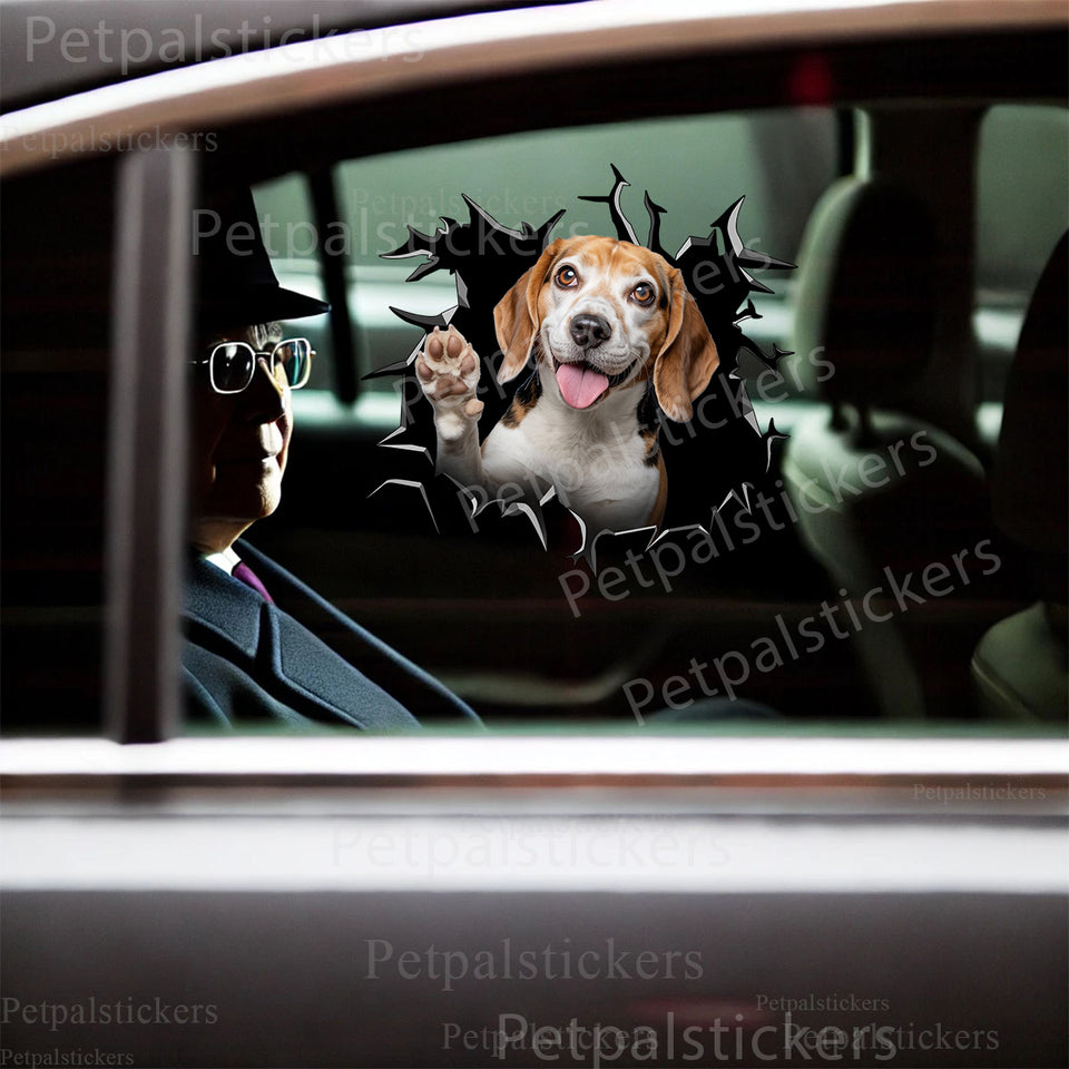 Vibrant Beagle decal sticker displayed on the exterior car door of a white sedan.
