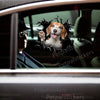 Vibrant Beagle decal sticker displayed on the exterior car door of a white sedan.