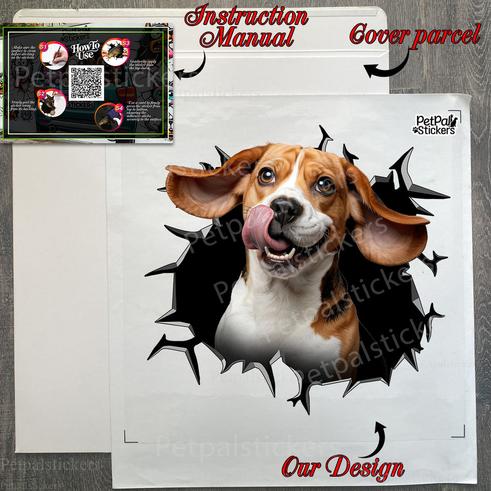 Protective mailing package holding the Beagle car decal with clear instructions.