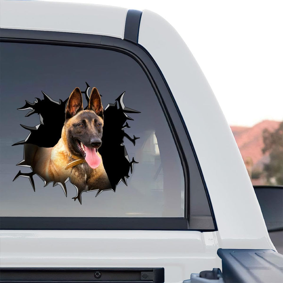 Belgian Malinois standalone product design displayed on a clear vinyl backing.