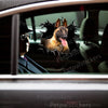 Detailed Belgian Malinois graphic sticker cleanly applied to a car door.
