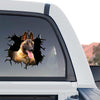 Vibrant Belgian Malinois window decal mounted on the rear glass of a truck.