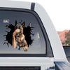 Belgian Malinois dog decal shown in a standalone product design layout.