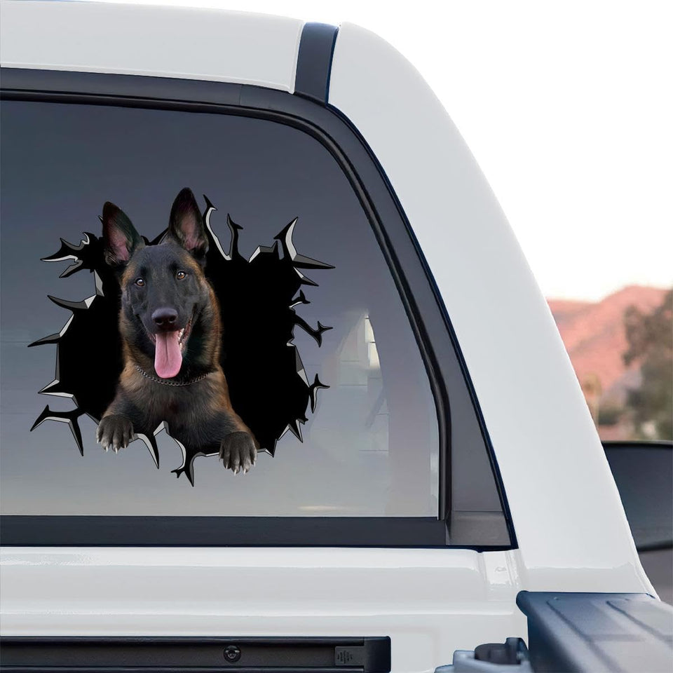 Belgian Malinois graphic decal displayed as a standalone product design on clear vinyl.