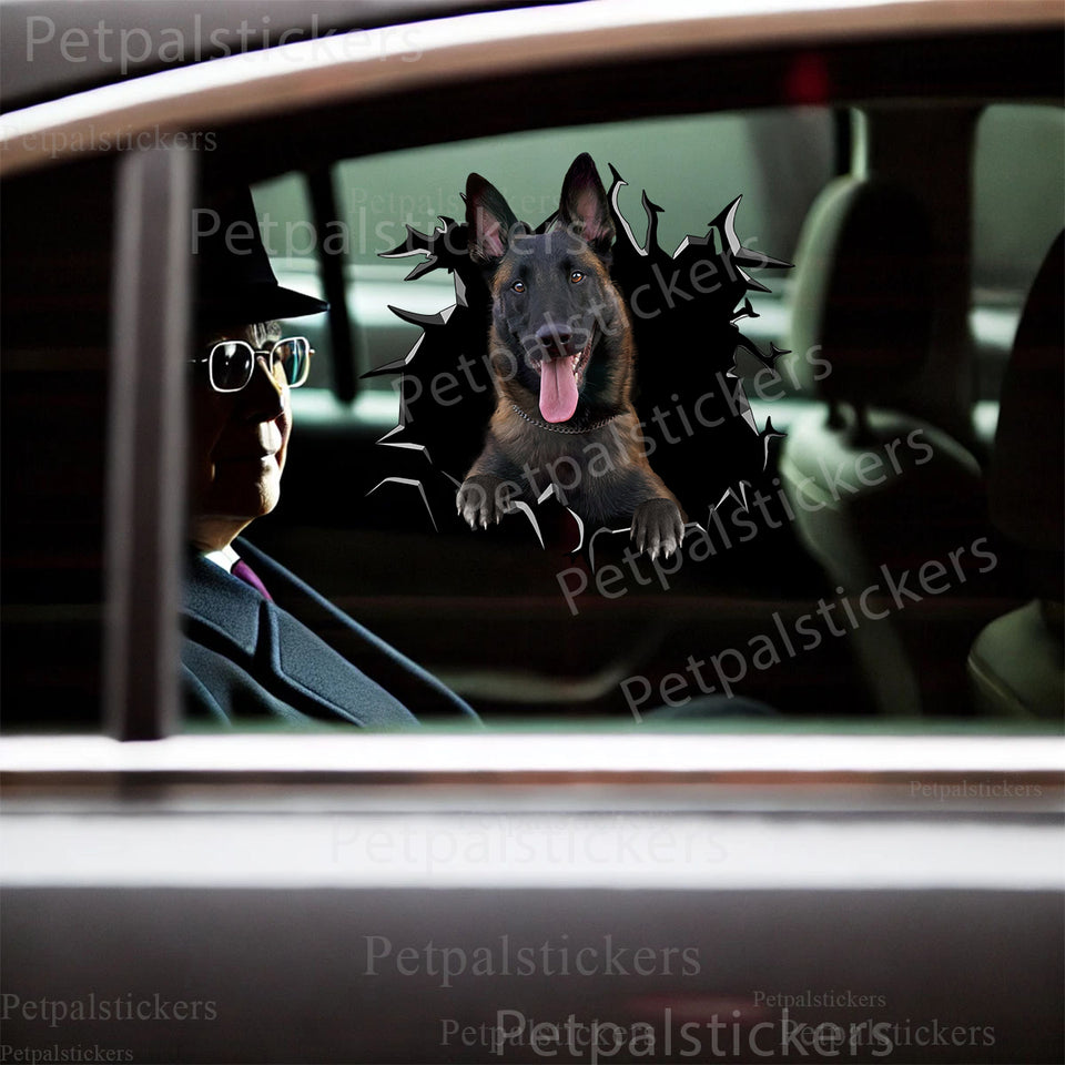 Glossy Belgian Malinois sticker cleanly applied to the exterior side of a car door.