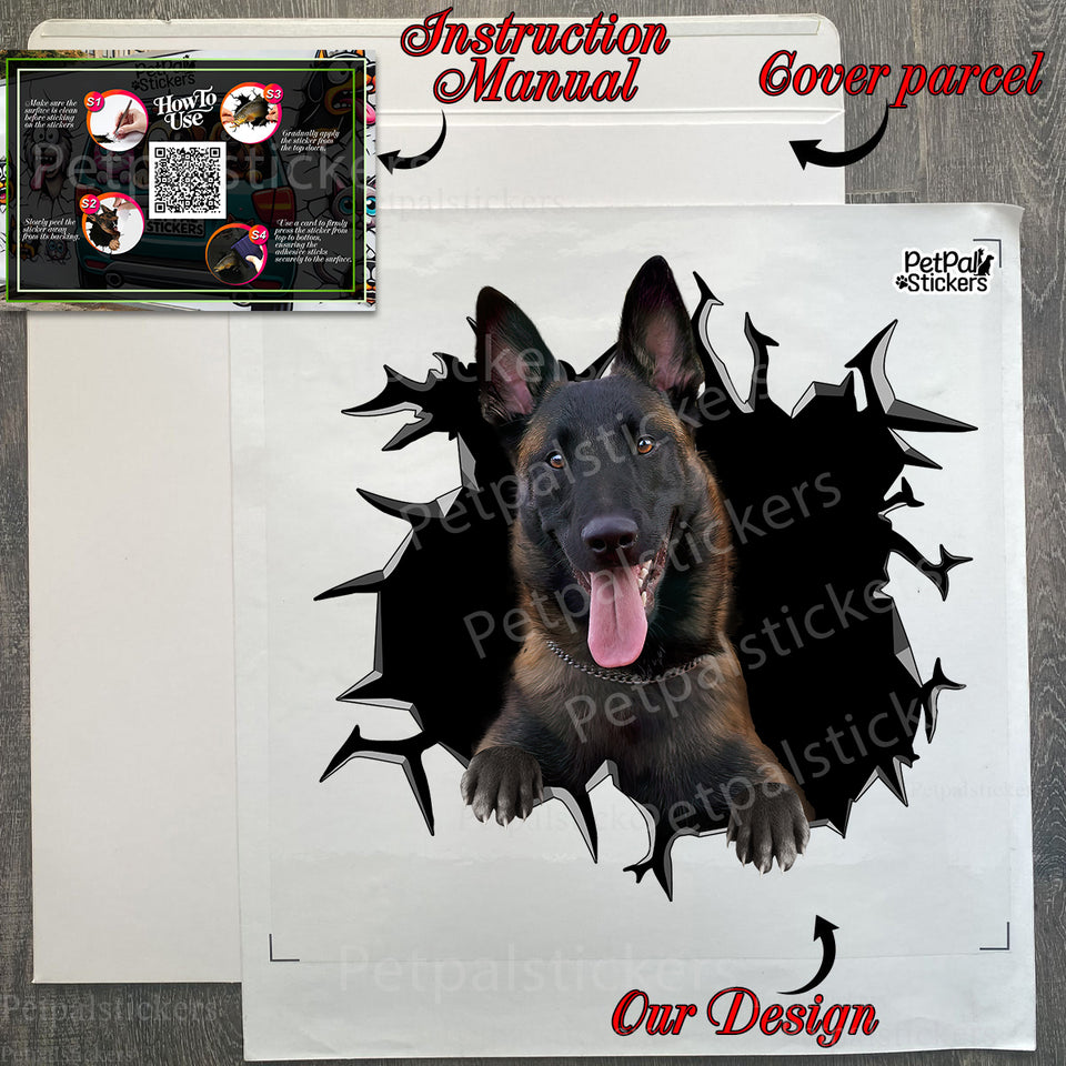 Protective cardboard package containing the Belgian Malinois decal and instructions.