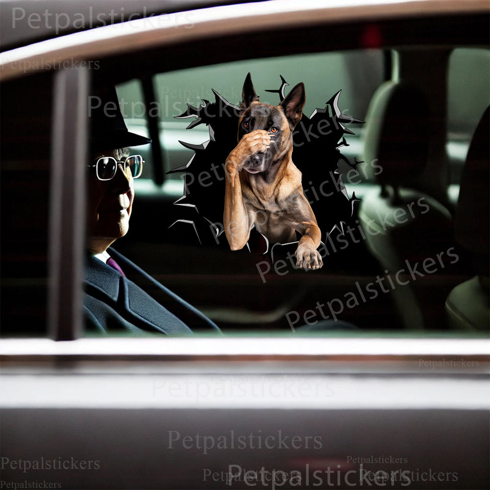 Detailed Belgian Malinois vinyl decal applied neatly on a white car door.