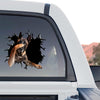 Clear vinyl Belgian Malinois window decal applied to the rear glass of a truck.