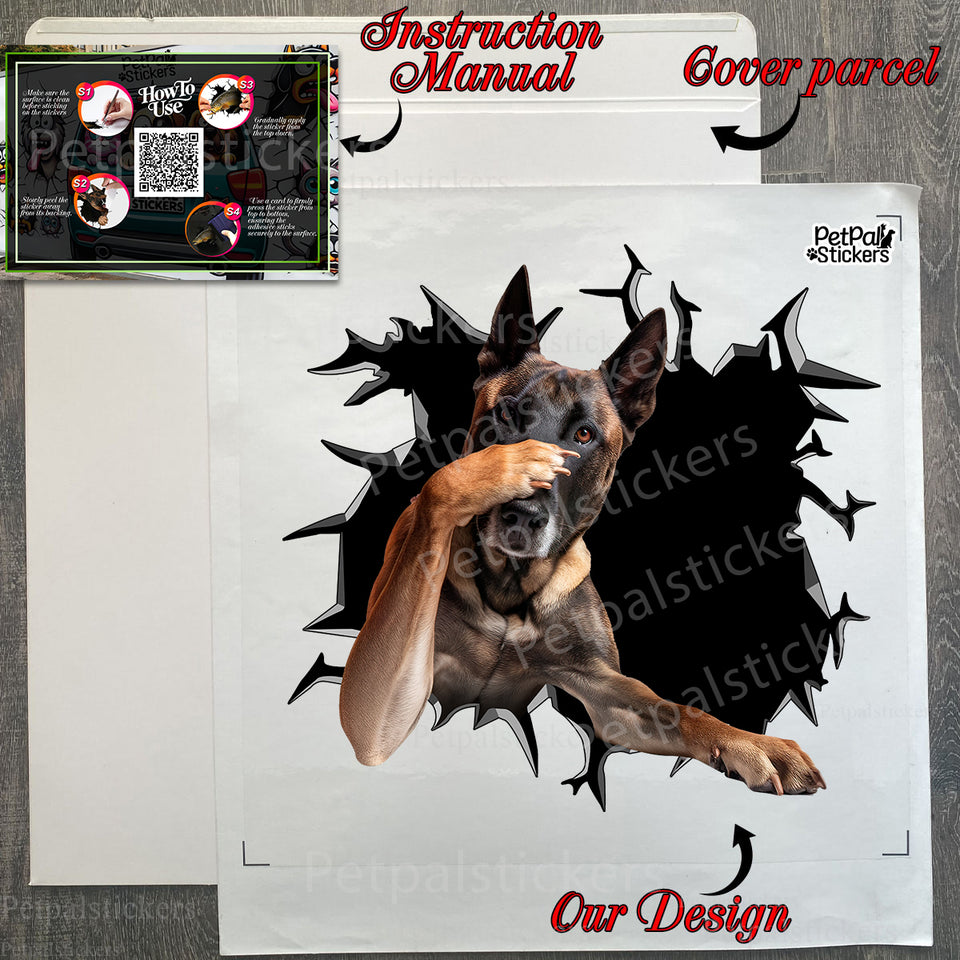 Securely packed Belgian Malinois decal inside product package with application guide.