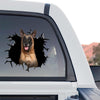 Clear vinyl Belgian Malinois standalone product design featuring vibrant graphic artwork.