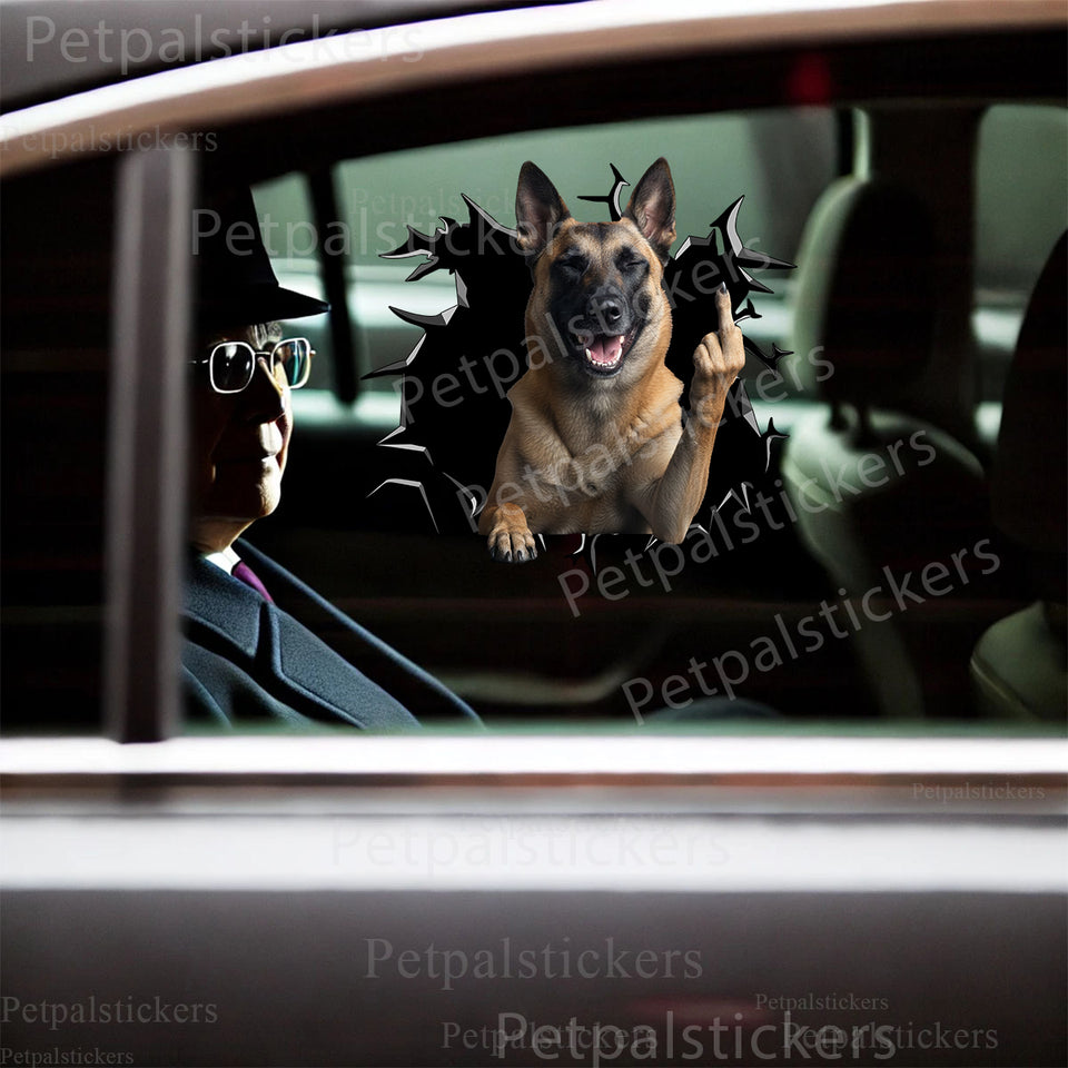 Belgian Malinois graphic decal installed seamlessly on an exterior car door.