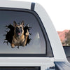 Vibrant Belgian Malinois window sticker displayed on the rear window of a truck.