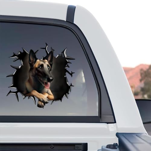 Belgian Malinois car decal graphic artwork displayed in a standalone product design format