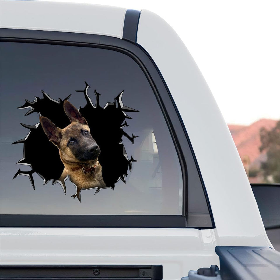 Belgian Malinois graphic decal artwork showcased on a standalone product design display.