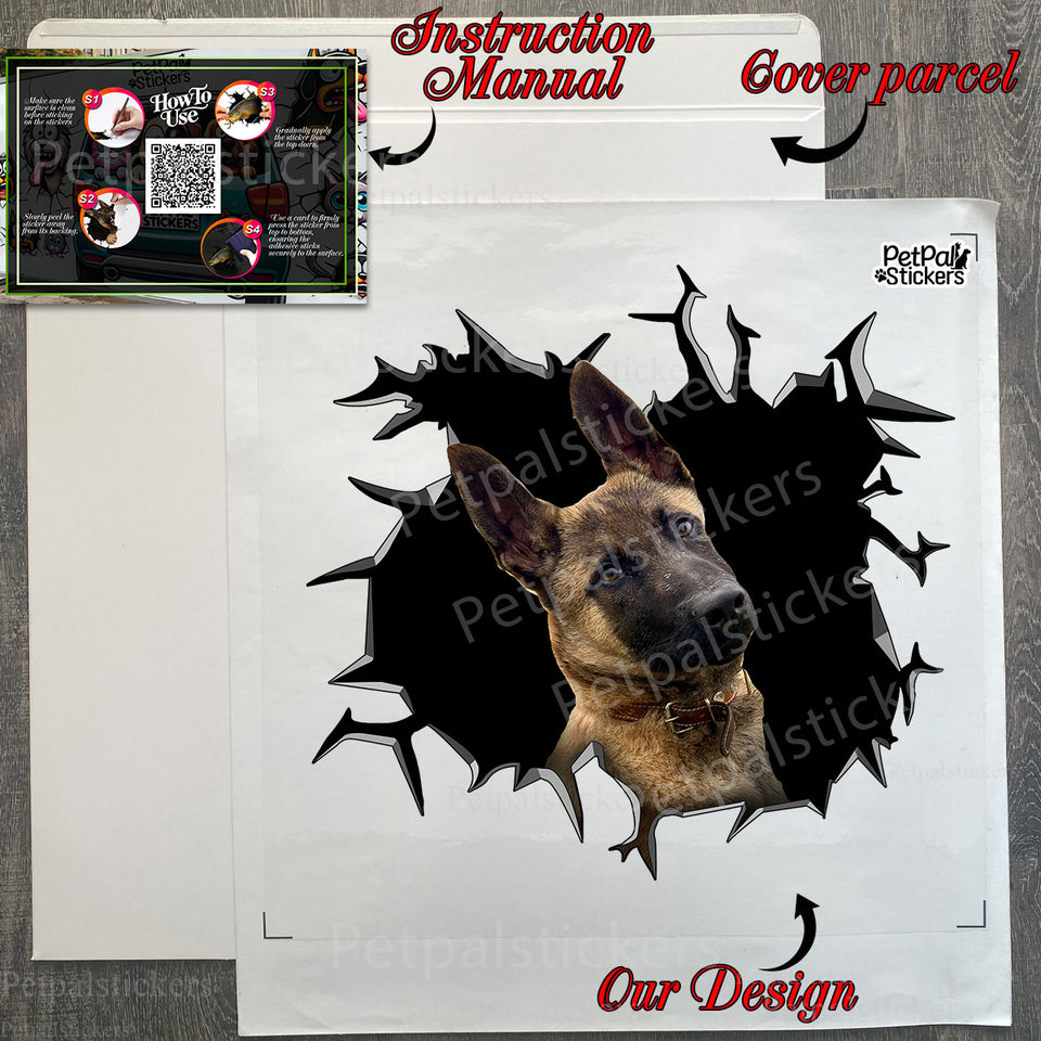 Protective product package containing the Belgian Malinois decal with instructions.
