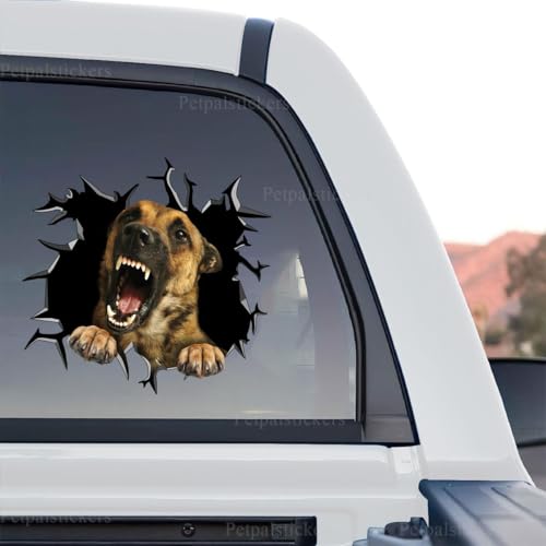 Belgian Malinois dog graphic in a standalone product design layout.