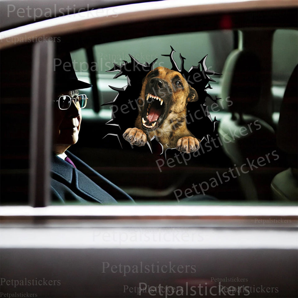 Vibrant Belgian Malinois dog sticker displayed on a smooth car door.