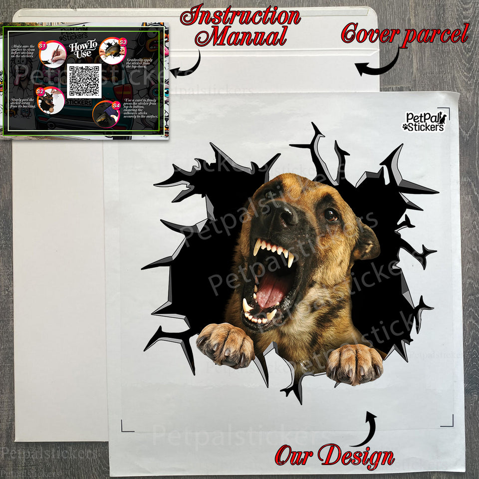 Protective package showing the Belgian Malinois dog decal and guide.