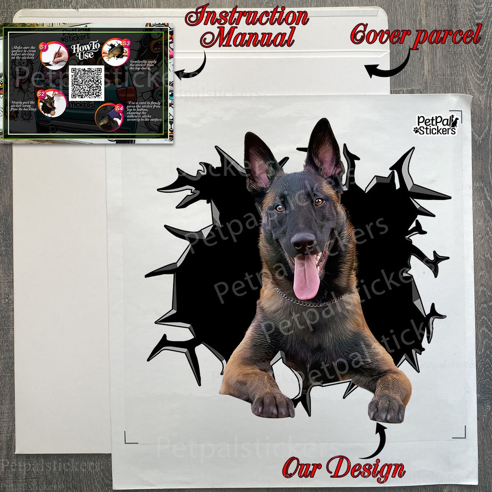 Protective shipping package containing the dog sticker along with application instructions.