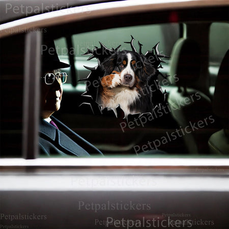 Playful Bernese Mountain Dog sticker applied onto a clean white porcelain toilet lid.
