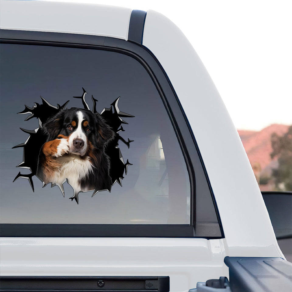 Graphic Bernese decal mounted on the rear window of a truck for outdoor durability.