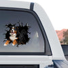 Eye-catching Bernese Mountain Dog sticker displayed on the rear window of a truck.