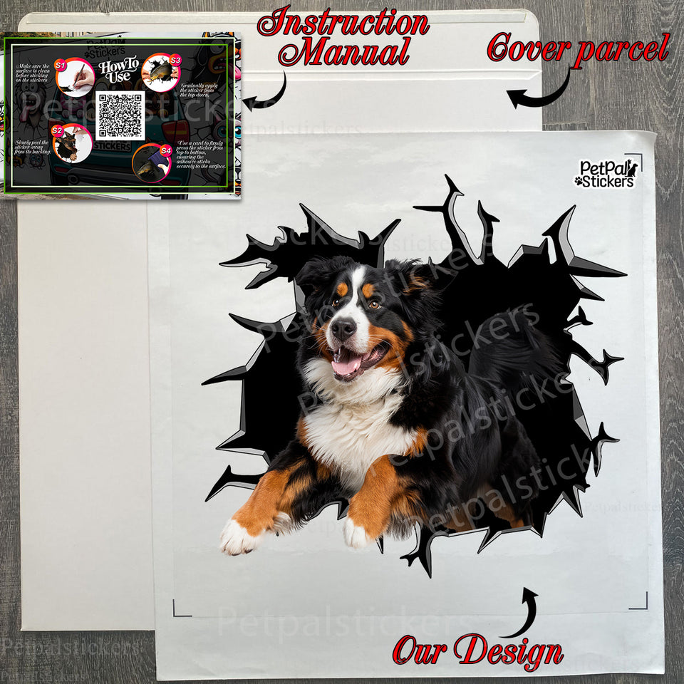 Protective package displaying the ready-to-apply Bernese Mountain Dog sticker.