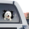 Clear vinyl Bichon Frise decal showcasing the vibrant standalone product design.