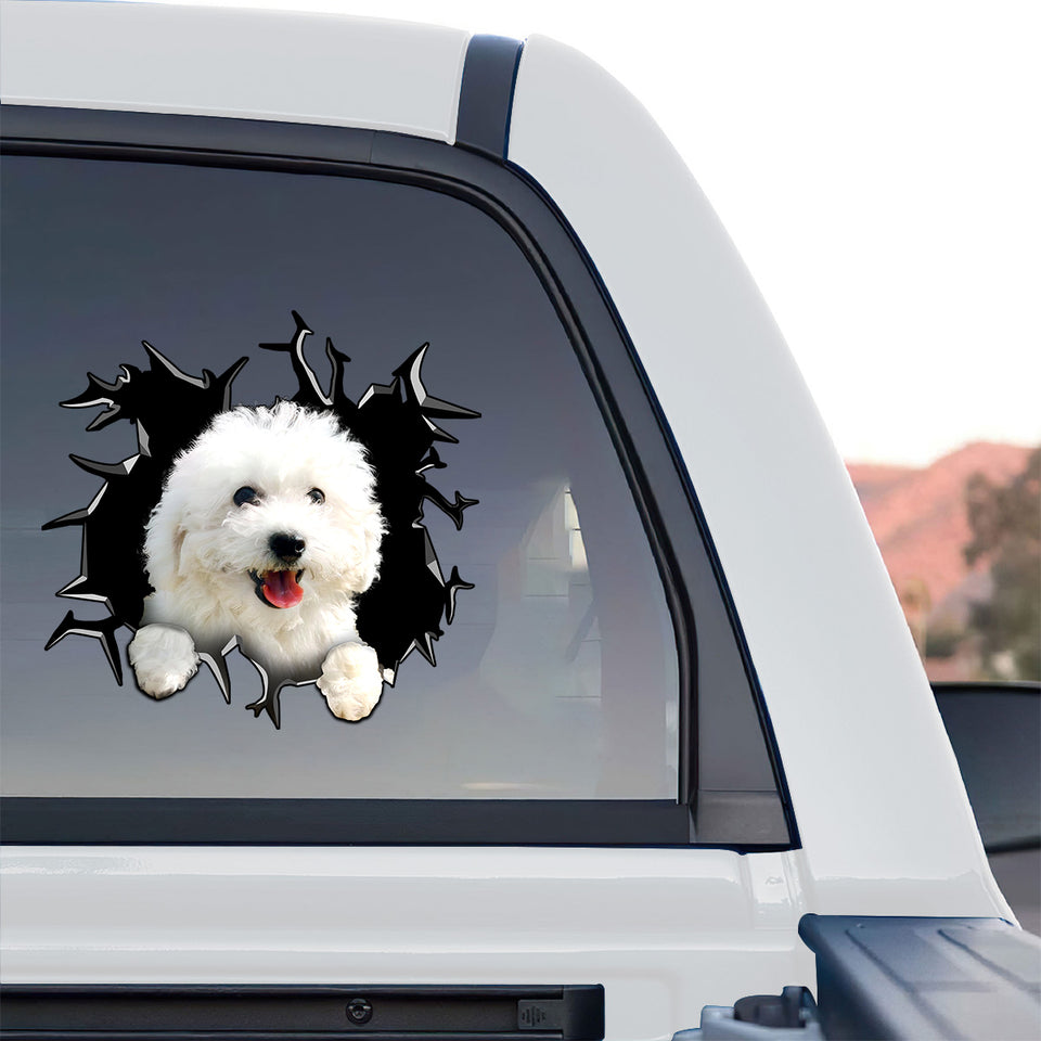 Weather-resistant Bichon Frise window decal displayed prominently on the side of a truck.