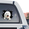 Weather-resistant Bichon Frise window decal displayed prominently on the side of a truck.