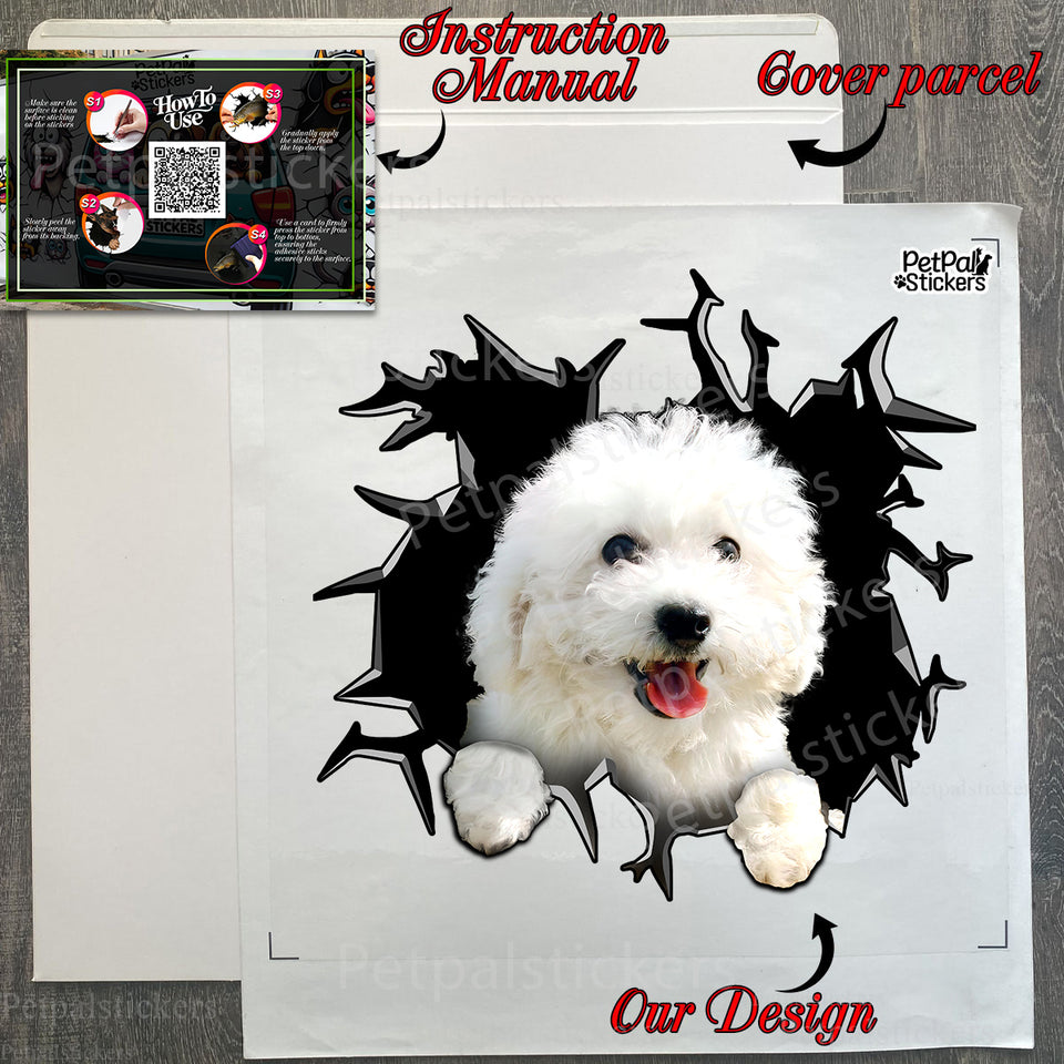 Protective secure package holding a Bichon Frise decal alongside application instructions.