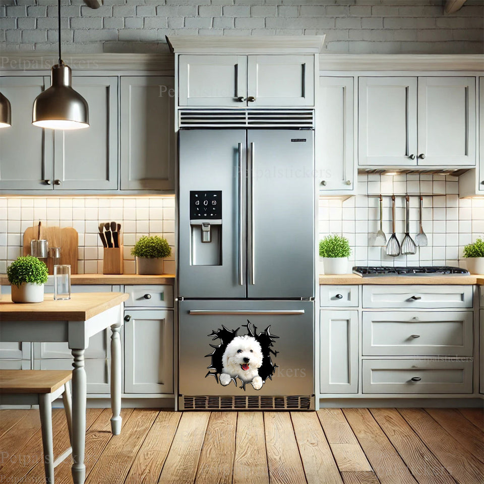 Cute Bichon Frise art sticker adhered firmly to a glossy kitchen refrigerator surface.