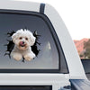 Waterproof Bichon Frise window sticker decorating the exterior rear window of a truck outdoors.