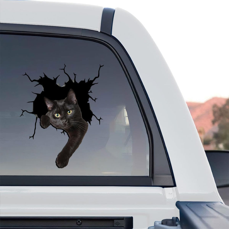 Vibrant Black Cat graphic standalone product design shown against a clean transparent backdrop.