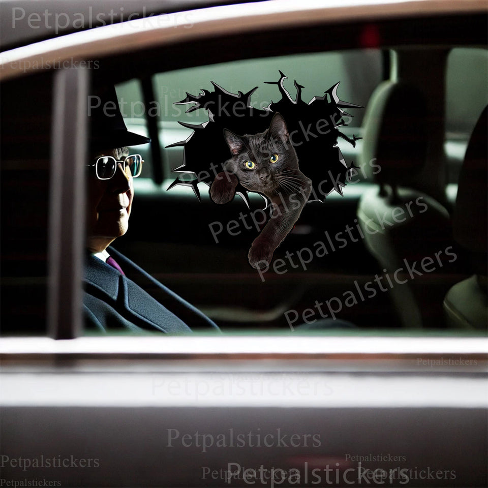 Cute Black Cat vinyl sticker proudly adhered to the sleek exterior of a smooth car door.