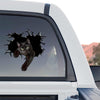 Glossy Black Cat exterior graphic decal placed onto the rear window of a pickup truck.