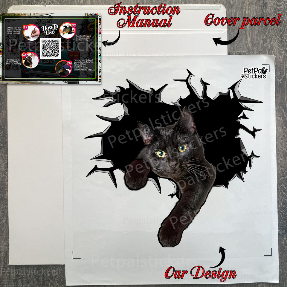 Protective retail package containing the 11x11 Black Cat car decal and application guide.