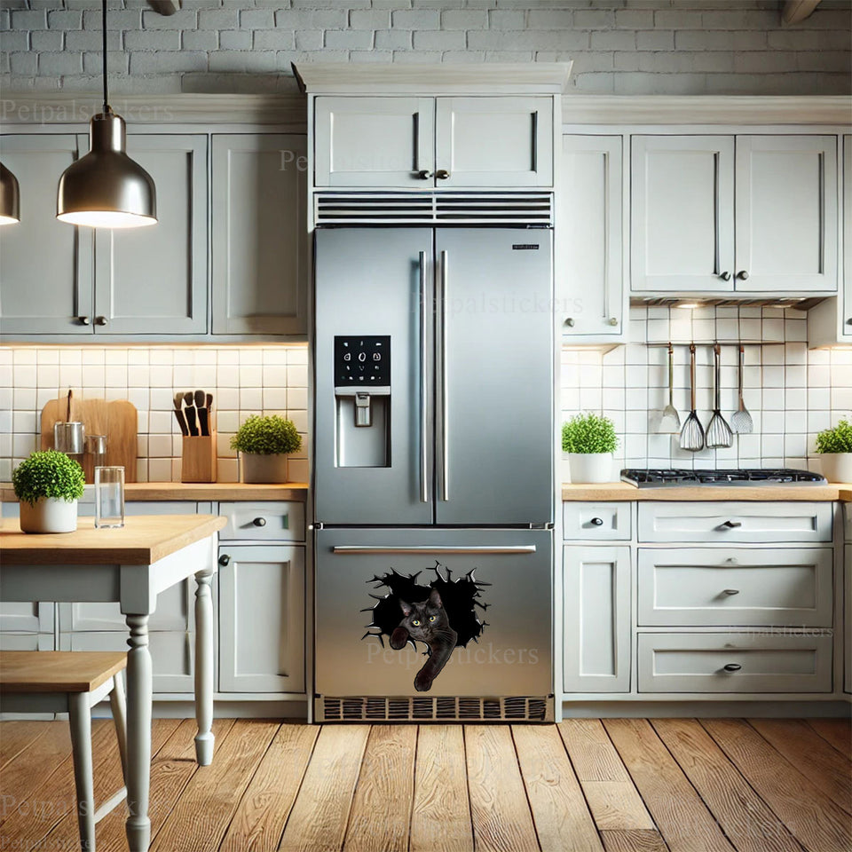 Decorative Black Cat sticker brightening up a white stainless steel kitchen refrigerator.
