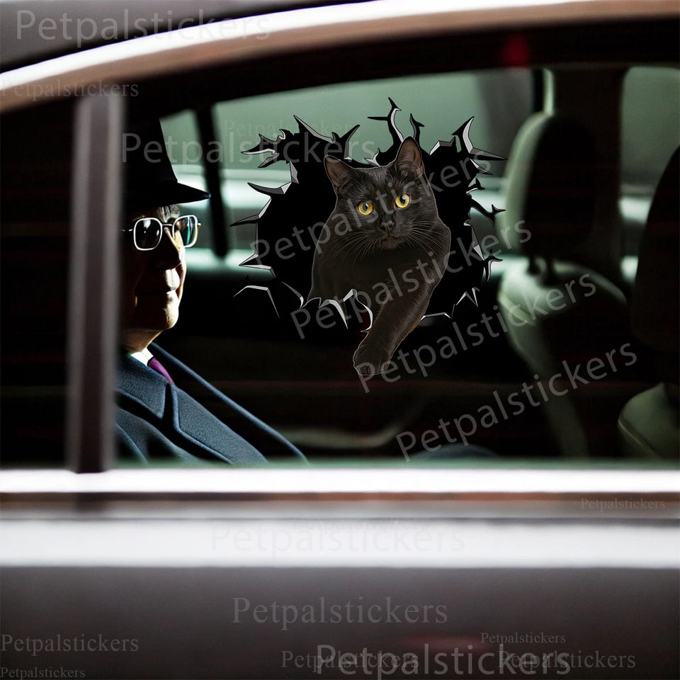 Glossy black cat graphic decal smoothly displayed on a clean car door.