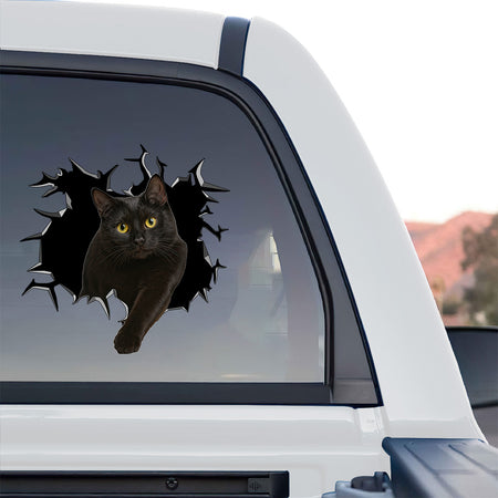 Humorous black cat waterproof sticker decorating the smooth lid of a toilet.