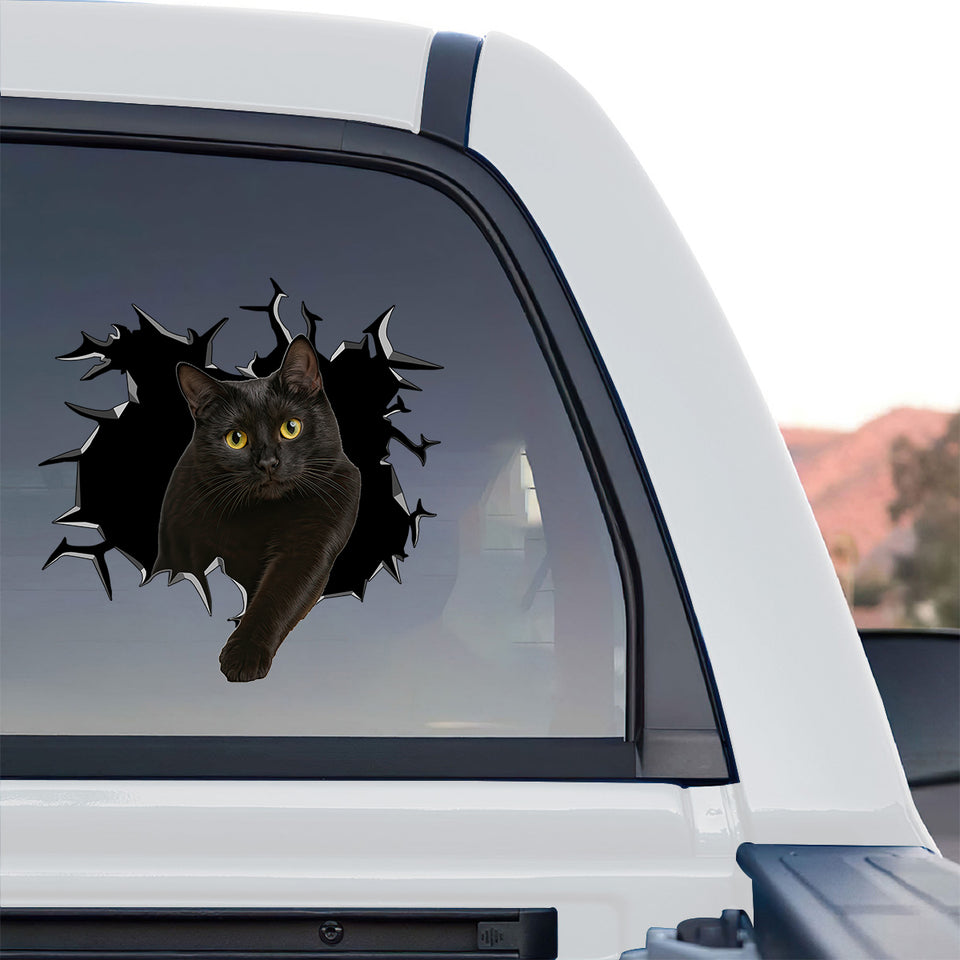Eye-catching black cat window sticker applied to the rear glass of a truck.