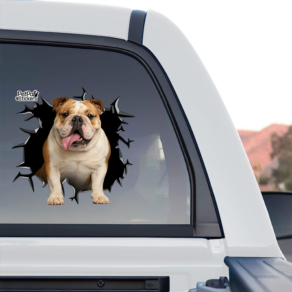Detailed Black English Bulldog window sticker displayed on the rear glass of a truck.