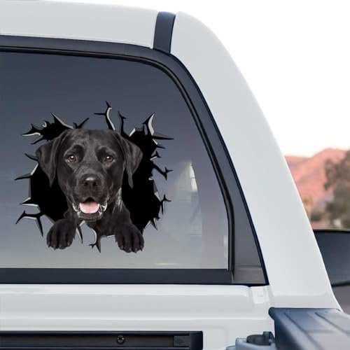 Detailed standalone product design of a Black Lab decal with glossy clear vinyl finish.