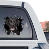 Detailed standalone product design of a Black Lab decal with glossy clear vinyl finish.