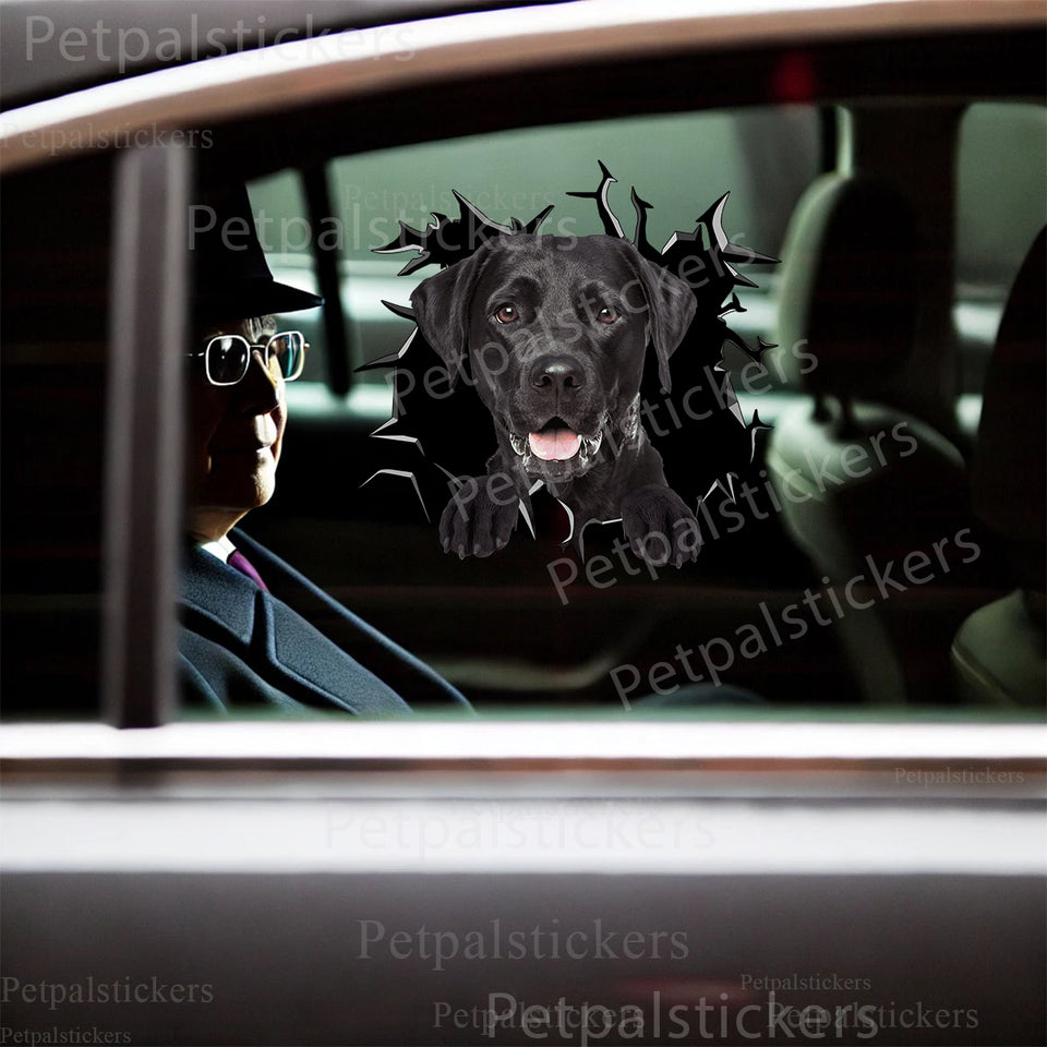 Glossy Black Lab decal applied smoothly onto the exterior of a dark car door.
