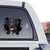 Vibrant Black Lab window graphic displayed proudly on the back window of a truck.