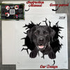 Protective shipping package containing the Black Lab decal and printed instructions.