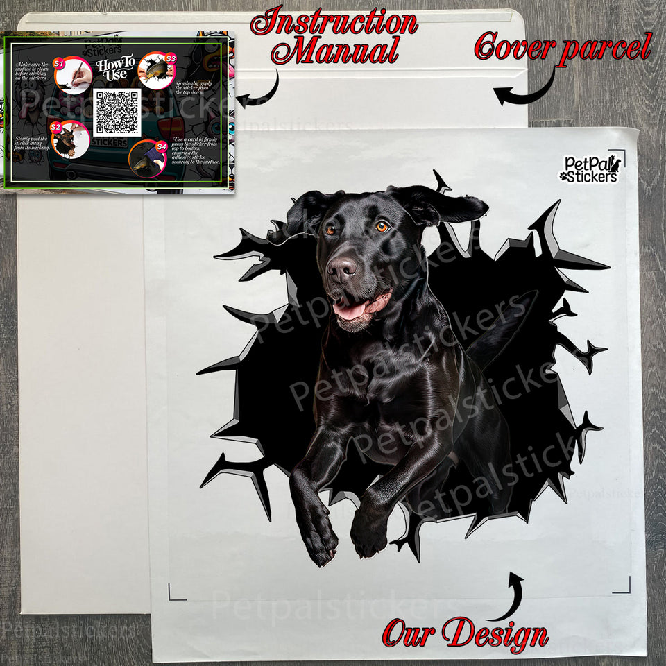 Protective shipping package containing the Black Lab decal with easy instructions.