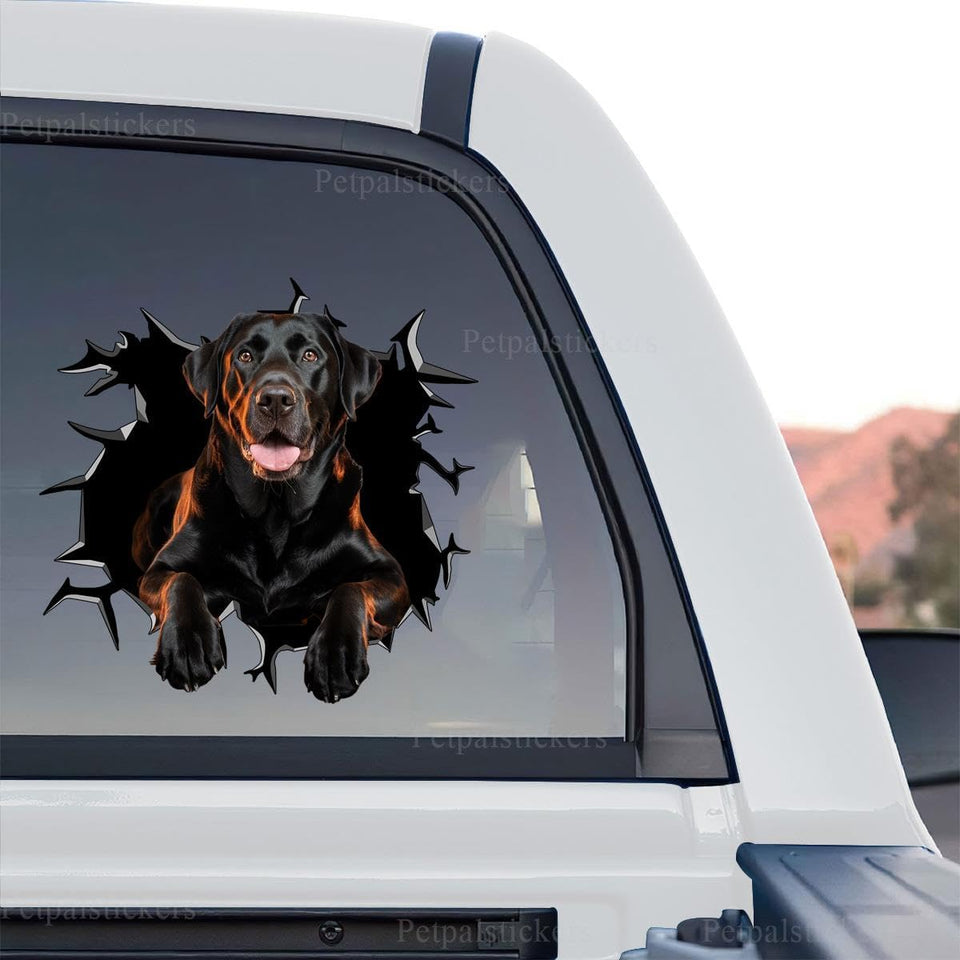 Clear vinyl decal featuring a detailed Black Labrador standalone product design with gloss finish.
